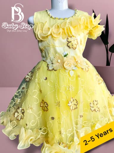 Elegant Floral Party Dress for Girls 2 5 Years