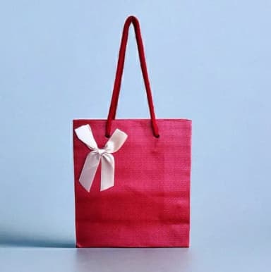 Paper Gift Bag for Gift Packaging