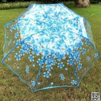 Transparent Umbrella