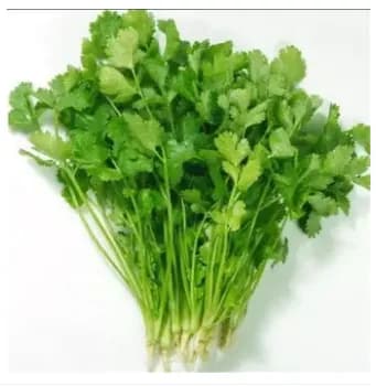 Dhaniya seed coriander seeds 50pic