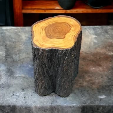 Live Edge Outdoor Sitting Log (12"/12")