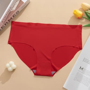 Ice silk comfortable long time useable panty underwear for women Imported MADE IN CHINA - One Piece